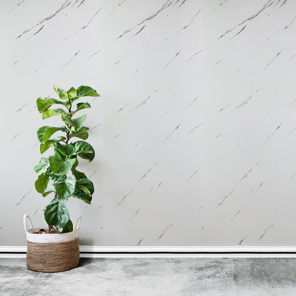 Плінтус РР самоклеючий 2300х70х4мм Білий з чорною смужкою (D) SW-00001830