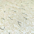 Самоклеюча плівка 0,45х10м х 0,07мм Ваніль SW-00001247